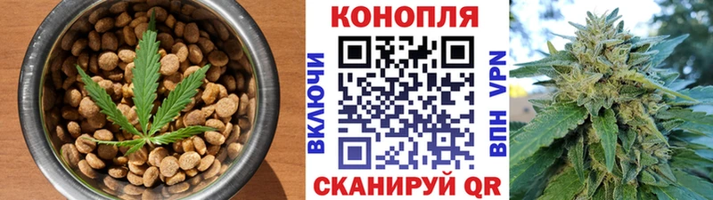 Cannafood конопля  Купить закладки  Почеп 