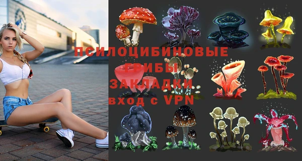 мдпв Верея